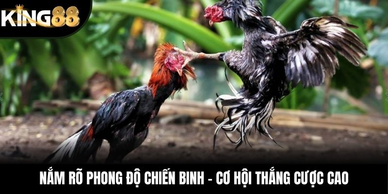 Nắm rõ phong độ chiến binh - Cơ hội thắng cược cao