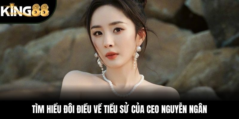 Tìm hiểu đôi điều về tiểu sử của CEO Nguyễn Ngân