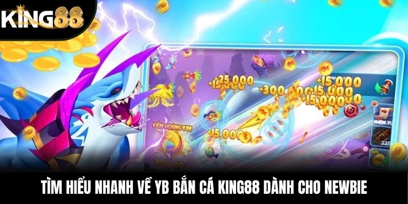 Tìm hiểu nhanh về YB bắn cá KING88 dành cho newbie
