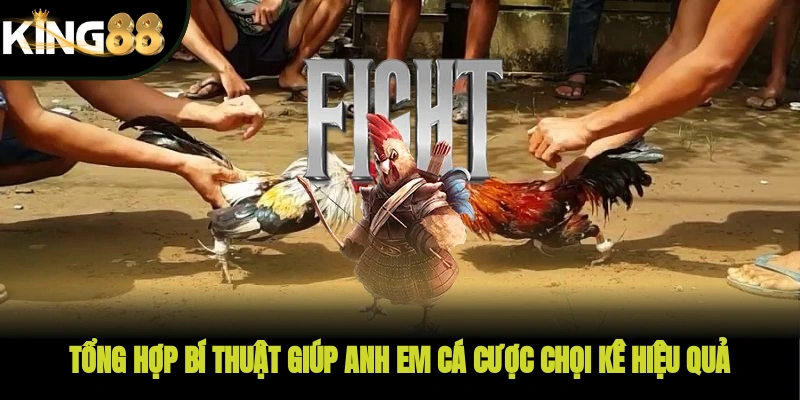 Tổng hợp bí thuật giúp anh em cá cược chọi kê hiệu quả